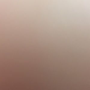 Meet your Posher, Bunny